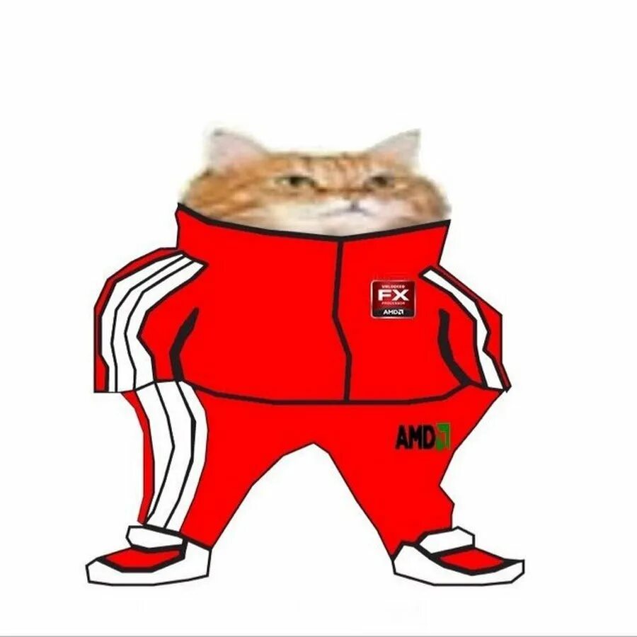 Заяц в адидасе. Кот в адидасе. Кот в адидасе. Крутой кот. Кот в костюме адидас.