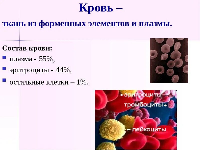 Безъядерный форменный элемент. Кровь плазма и форменные элементы крови. Состав крови плазма и форменные элементы. Состав эритроцитов крови. Состав крови плазма состав плазмы.