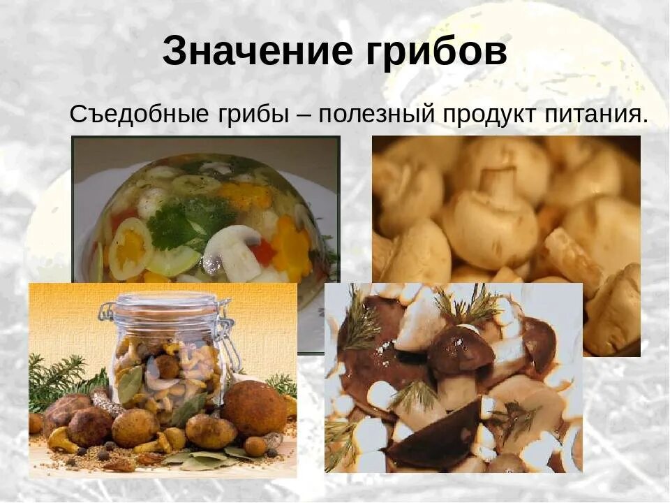 Грибы вызывающие порчу продуктов питания. Полезные грибы. Грибы на продуктах питания. Презентация блюда из грибов.