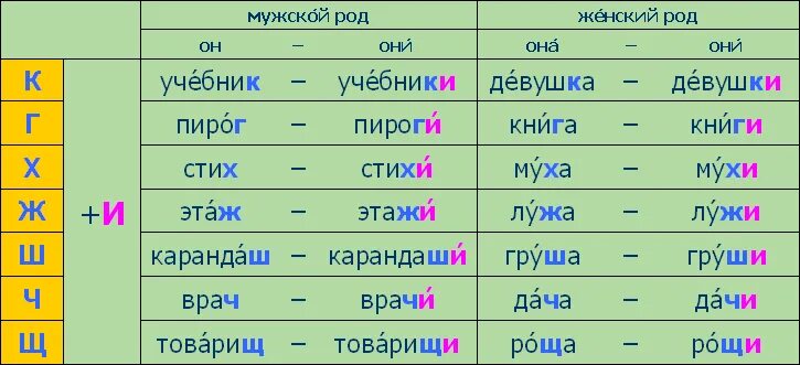 Терпеть множественное число. Правило образования множественного числа в русском языке. Множественное число в русском языке правило. Мн число существительных в русском. Множественное число существительных в русском языке.