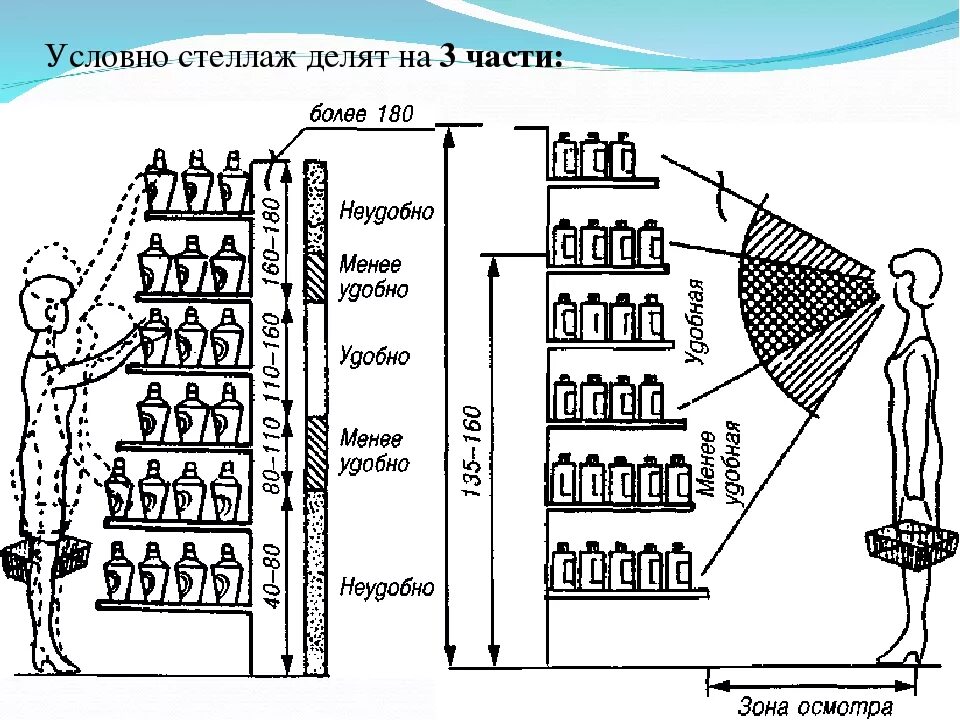 Зона выкладки товара. Размещение товаров в торговом зале. Размещение и выкладка товаров. Вертикальная выкладка товара. Ряд процедур 8 букв последняя с