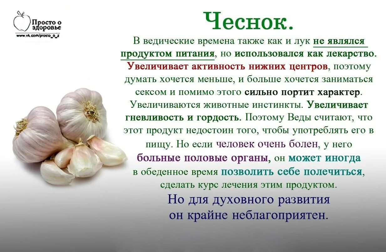 Чем полезен чеснок для организма. Чем полезен чеснок. Лук чеснок. Как полезно чеснок?. Сколько пить чеснок