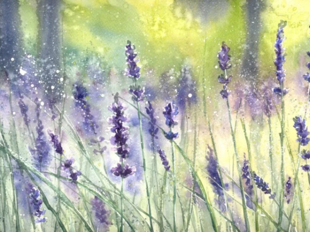 Лаванда арт. Лаванда миксборд акварель. Живопись в сиреневых тонах. Лаванда живопись. Абрау дюрсо лавандовые поля.