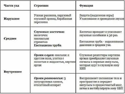 Таблица название анализатора строение функции