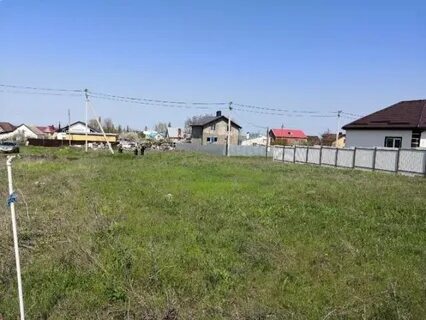 Цибанобалка анапский