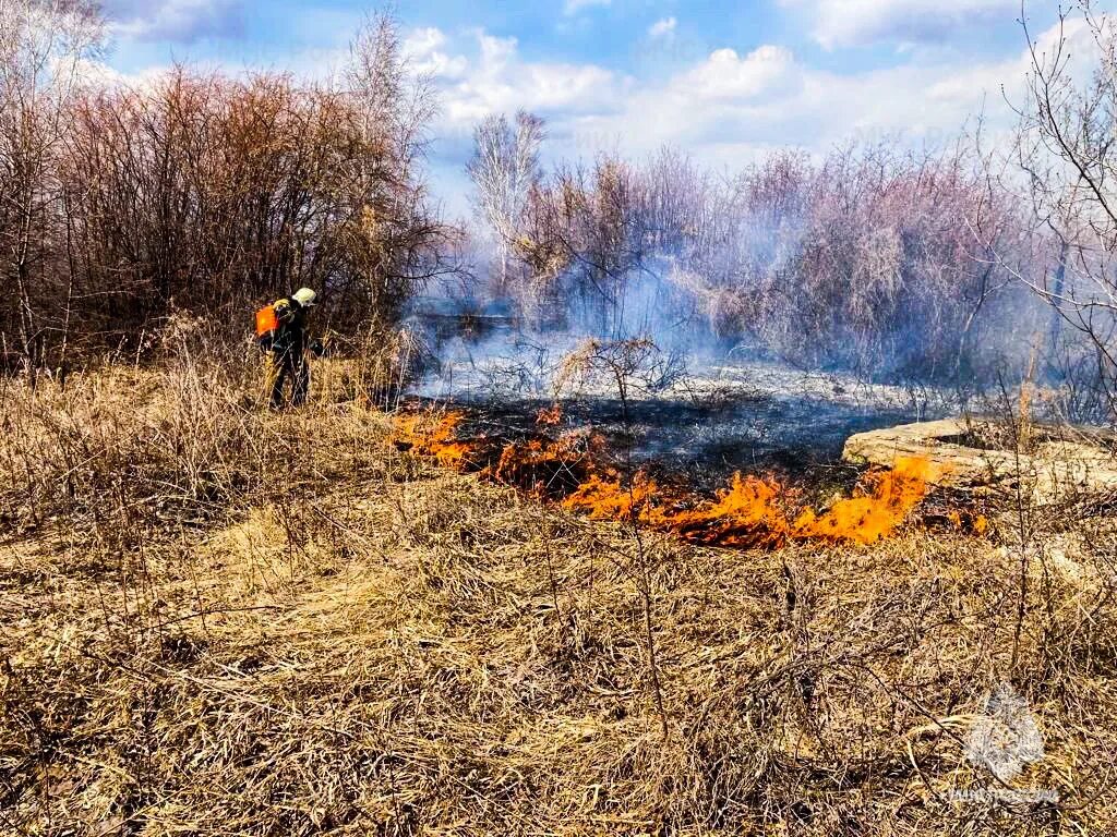 Пожароопасный период 2024 бурятия. Лесные пожары в Омской области 2023. Пожар в лесу. Лесной пожар фото. Особый противопожарный режим.