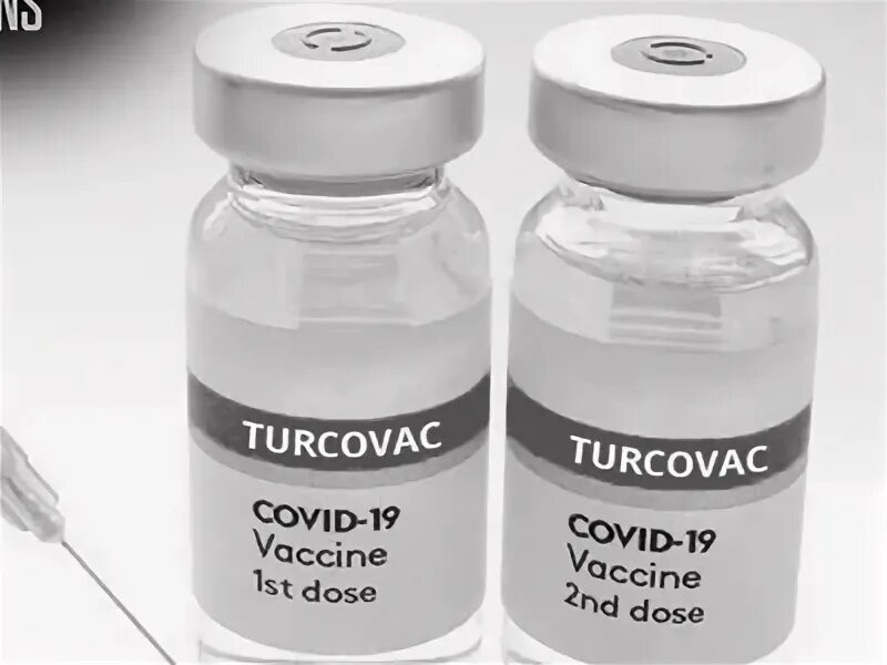 Турция вакцины. Turcovac vaccine. Турция вакцинация ковид.