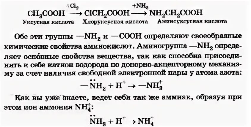 Бензол реагирует с аминоуксусной кислотой