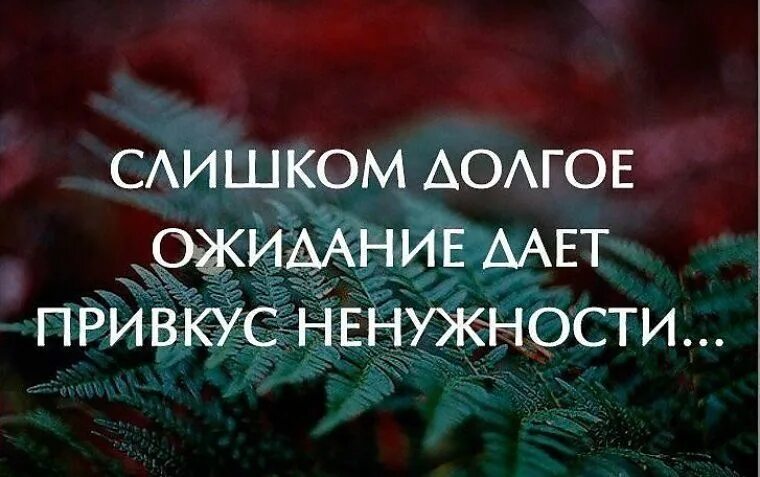 После долгих ожиданий. Высказывания про ожидание. Фразы про ожидание. Мудрые цитаты про ожидание. Статусы про ожидание.