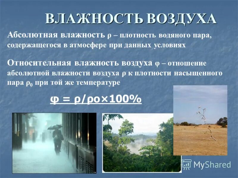 Петербург влажность воздуха. Влажность воздуха. Абсолютная влажность воздуха пример. Влажность в природе. Влажный воздух.