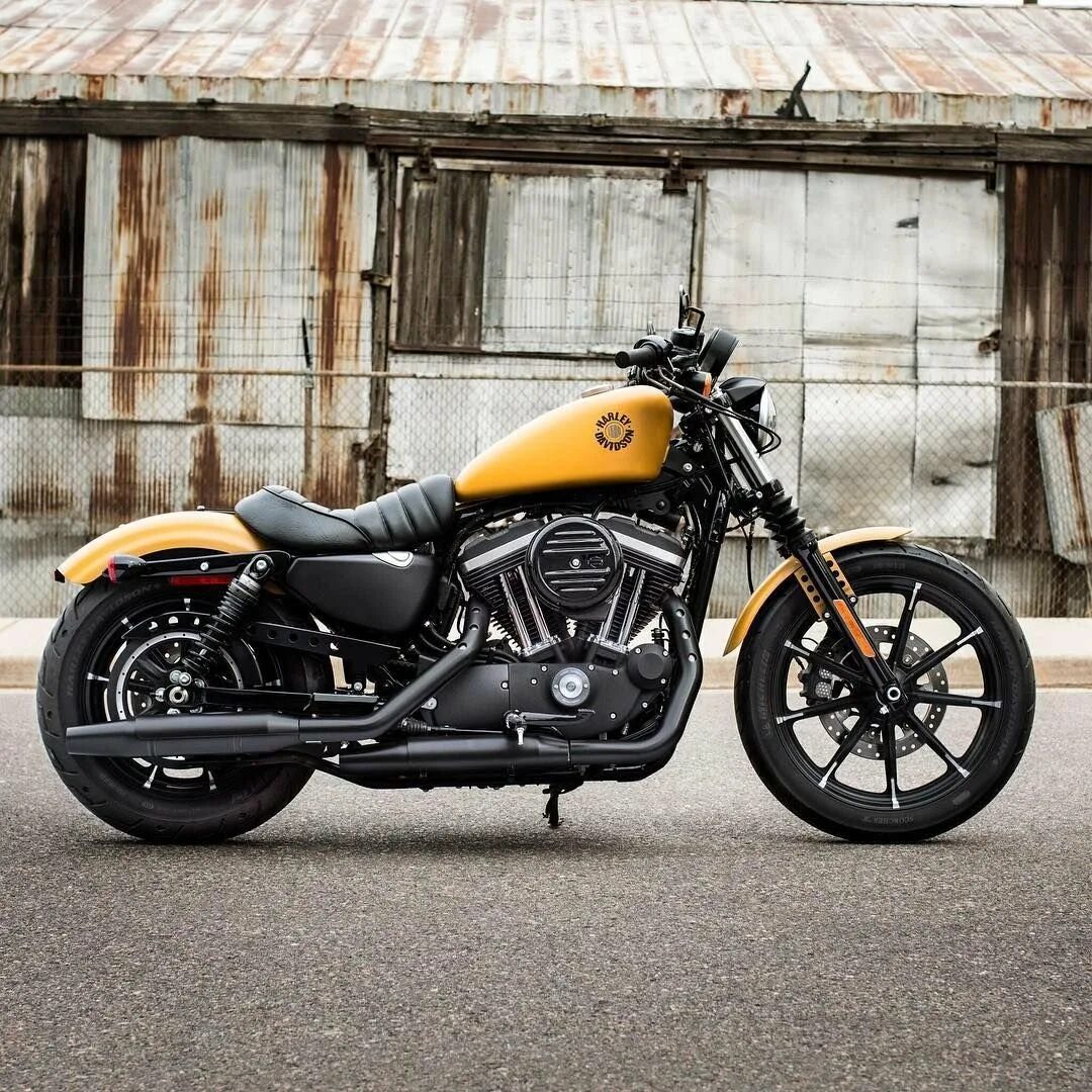 Харлей Дэвидсон 883. Harley Davidson Sportster 883. Харлей Дэвидсон спортстер 883. Harley Davidson Sportster 883 Iron.