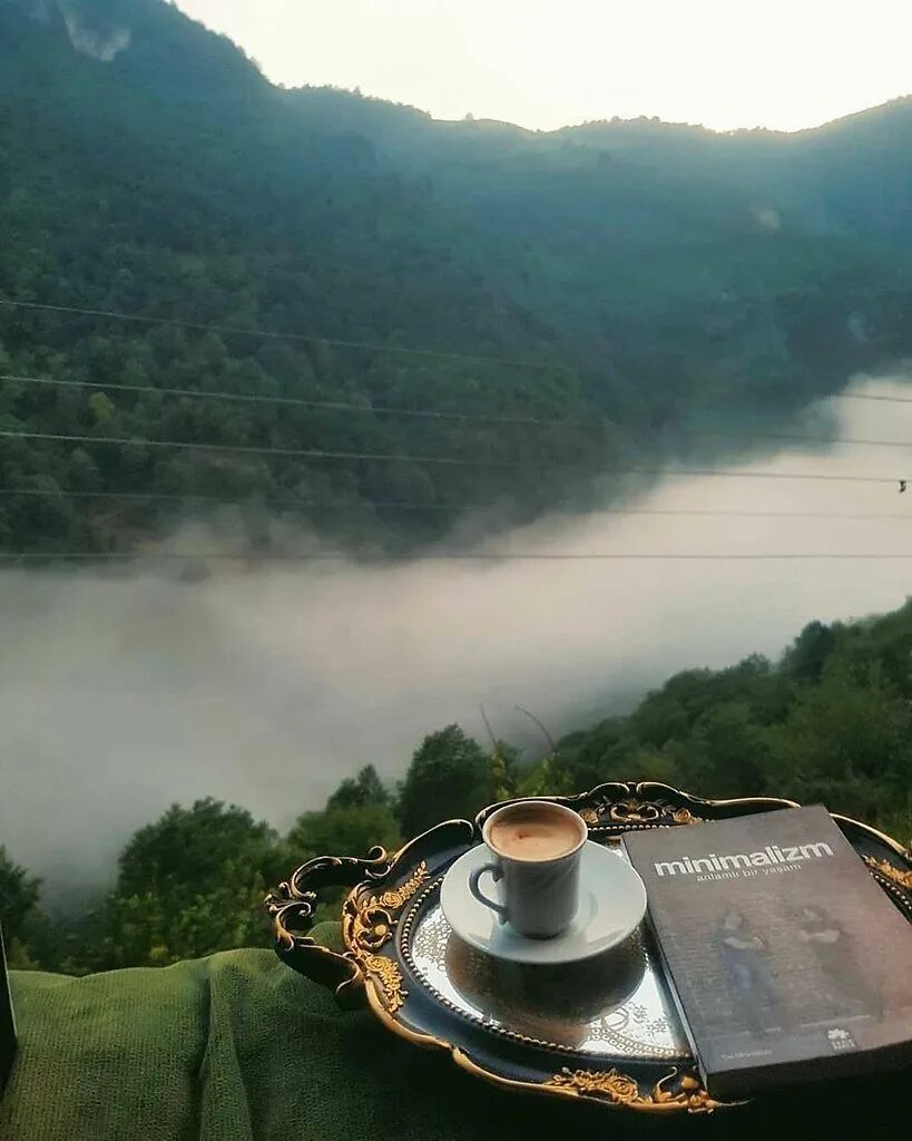 туманный чай. послеобеденного чаепития геншин. туманный чай. туманный чай. туманная гора чай.