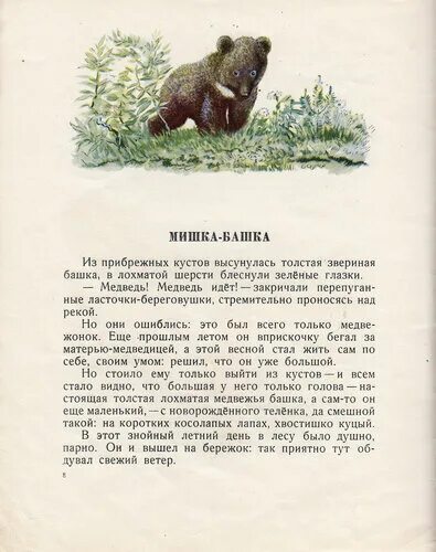 Мишка башка. Евгений иванович чарушин медведь. мишка-башка виталий бианки книга. чарушин евгений иванович медвежата книга. рассказ чарушина медвежата.