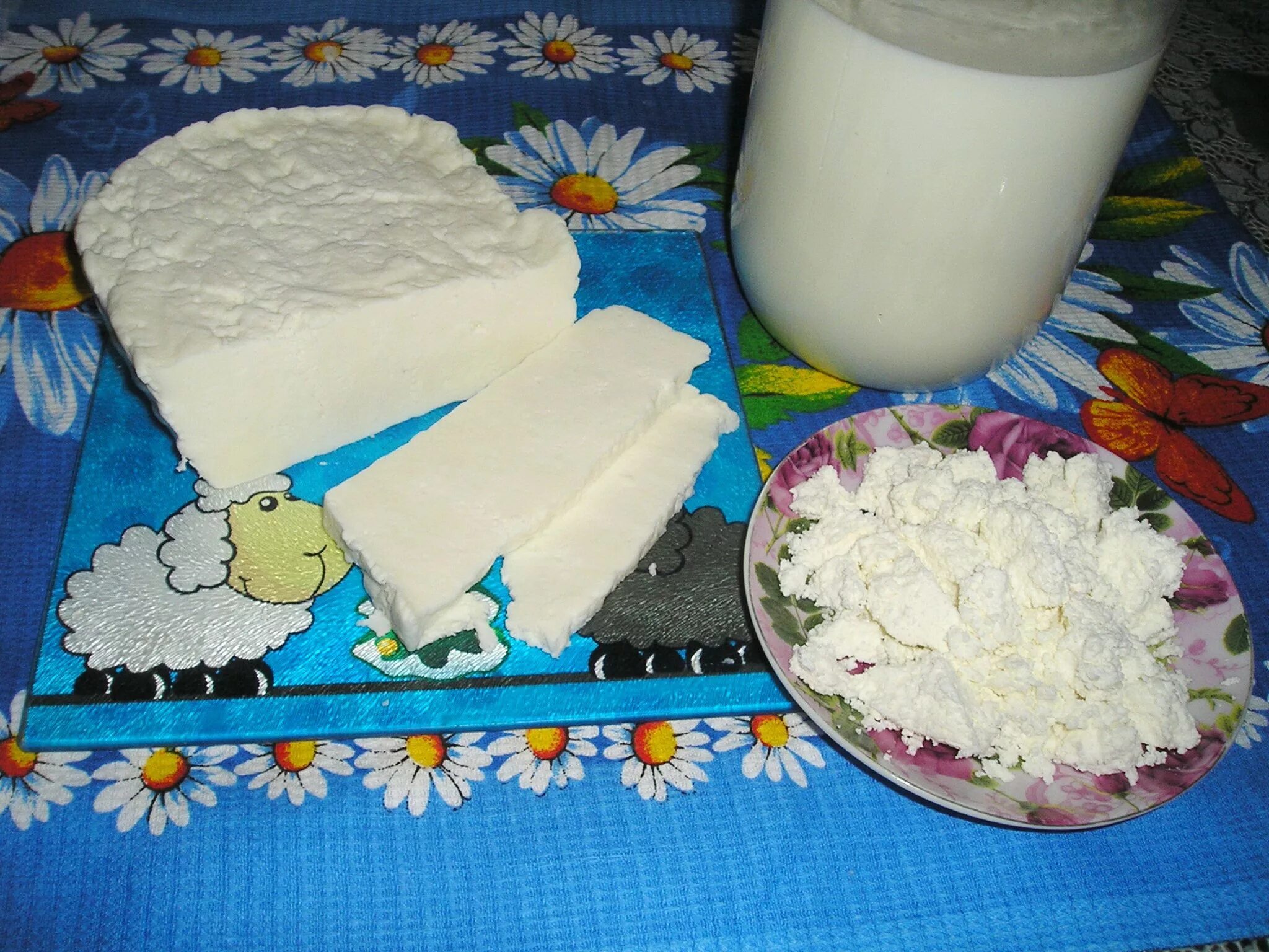 Домашний козий сыр из творога. Молоко. Сыр. Творог. Молоко творог. Сыр творог. Молоко домашнее.