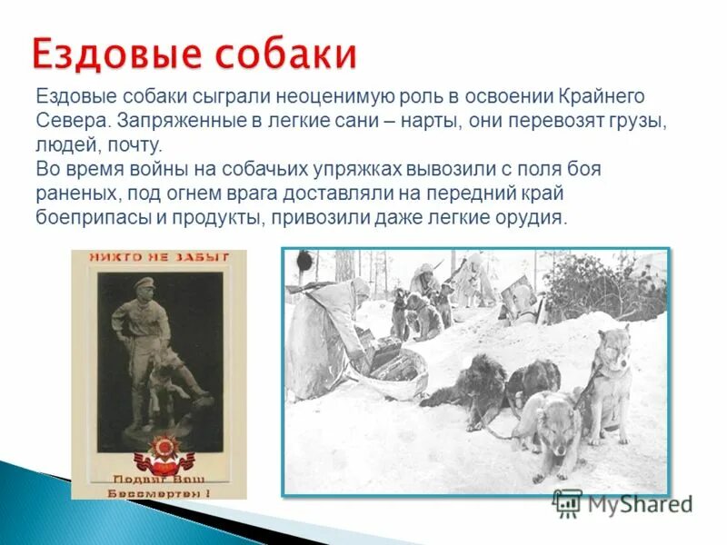 собака играет. ушинский рассказ играющие собаки. играющие собаки рассказ константина ушинского. играющие собаки рассказ. ушинский играющие собаки.