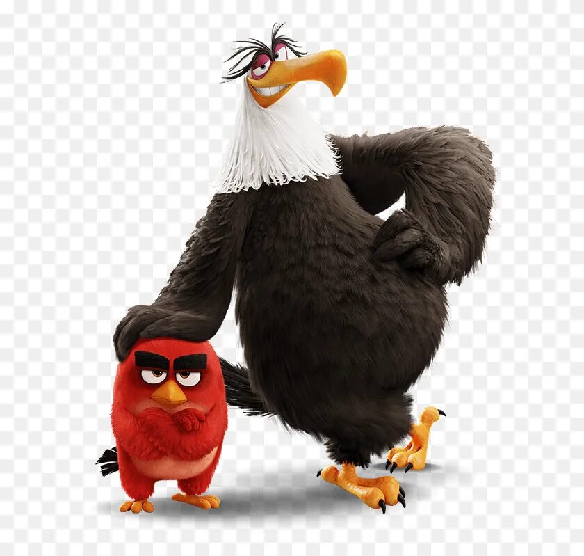 Angry birds eagle