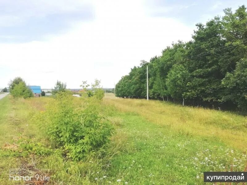 Деревня сютпылых. 28 соток. Байсубаково на карте. Байсубаково новая улица. Байсубаково чебоксарский.