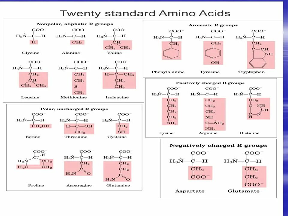 Acids articles. Acids articles