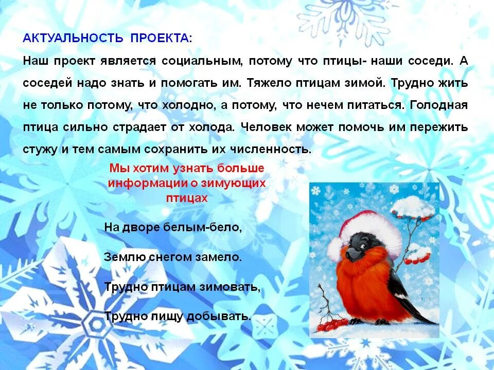 Актуальность проекта кормушка для птиц. Актуальность проекта зимующие птицы. Актуальность проекта зимующие птицы нашего города. Научный рассказ про орнитологию. Актуальность птиц.