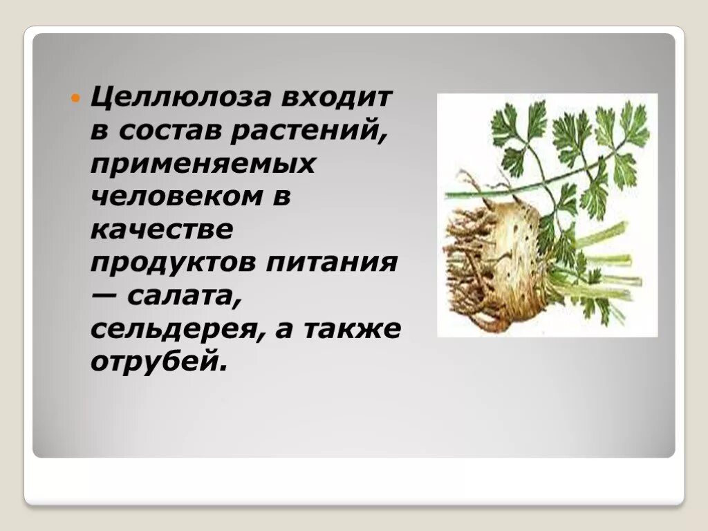 Целлюлоза в растениях. Целлюлоза в растениях. Лигнин в клетках растений. Целлюлоза презентация. Клетчатка это в биологии.