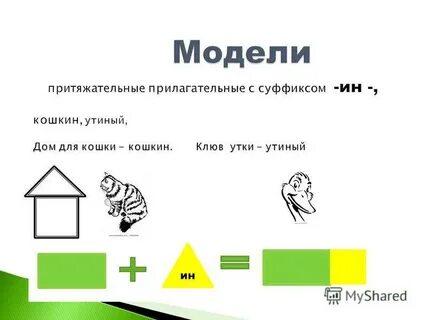 Притяжательные прилагательные тест