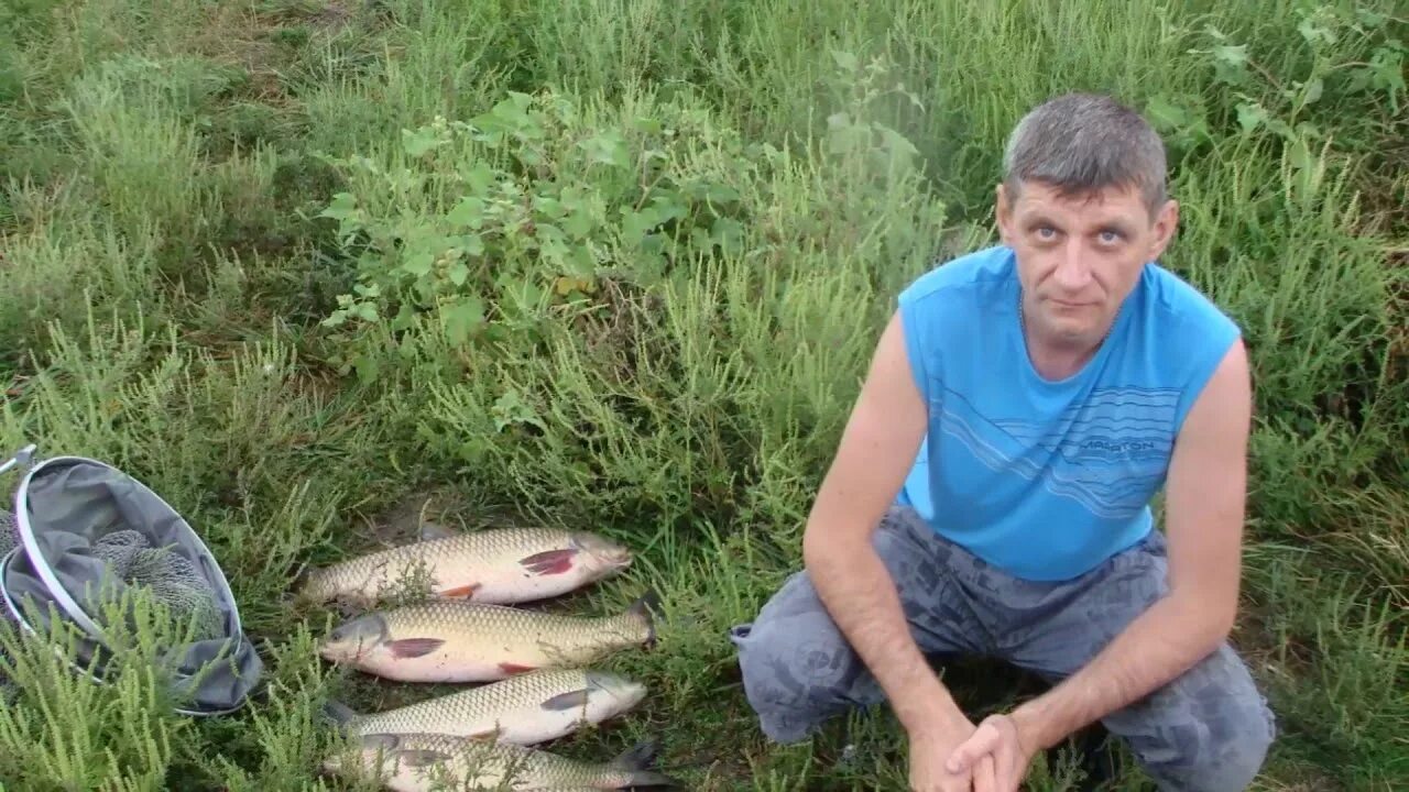 Ставропольский край пруд пятилетка. Репинские пруды коломна. Пруд рязанская область. Перовский парк пруд. Пруд пятилетка.