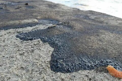 Нефть балтийского моря