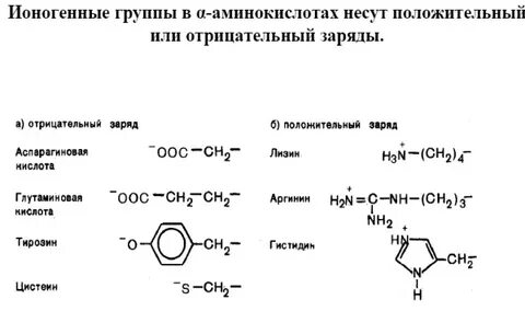 3 группы аминов