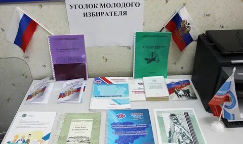Выборы сельское поселение