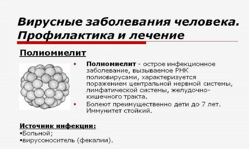 Полиомиелит заражение. Полиомиелит способ передачи. Полиомиелит заражение. Полиомиелит заражение. Механизм передачи вируса полиомиелита.