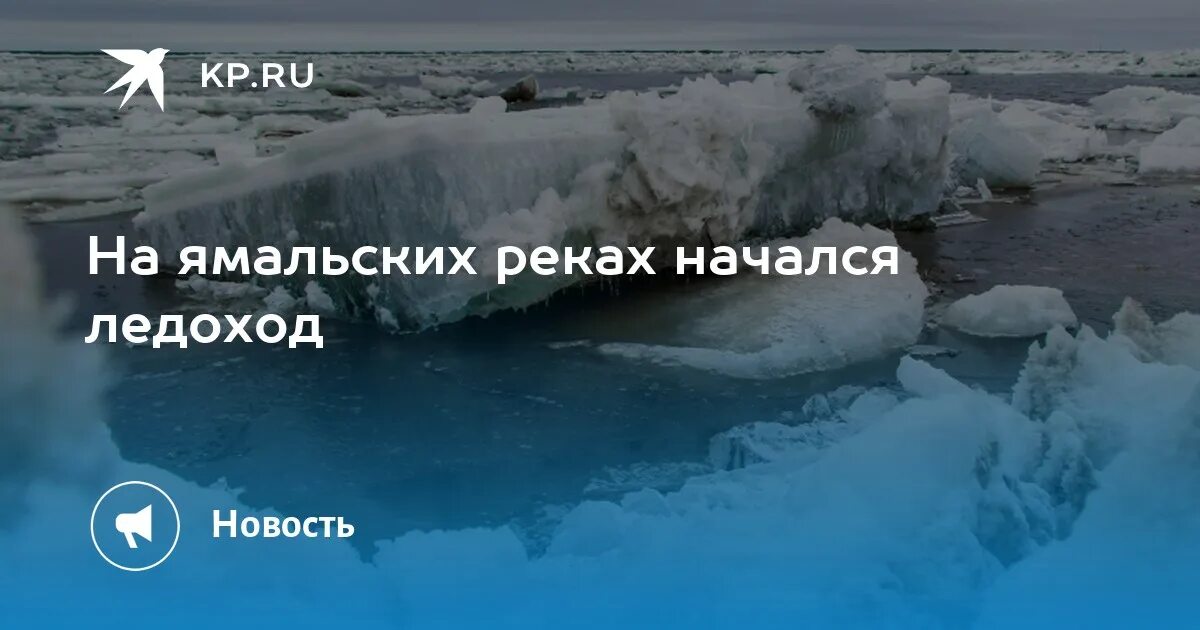 Ледоход на оби 2024 прогноз. Ледоход. Ледоход на Оби. Ледоход Обь. Когда начался ледоход на реке.