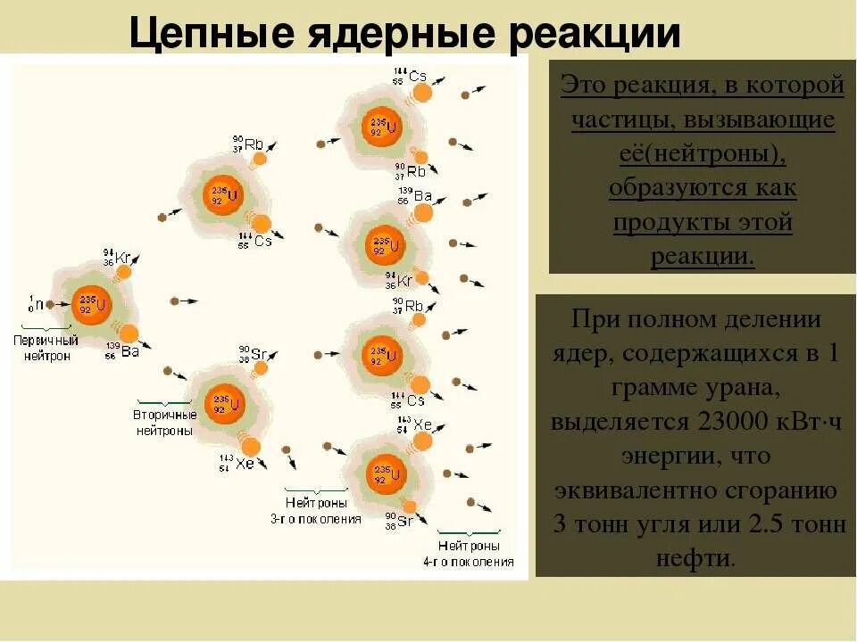 Цепную ядерную реакцию деления урана