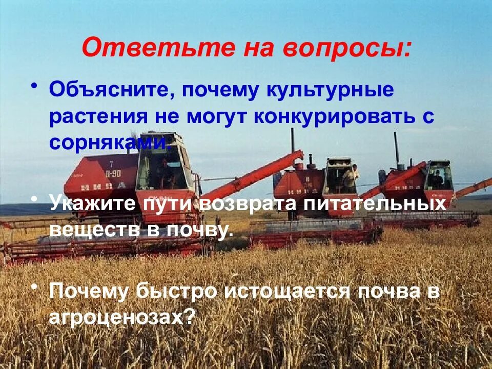 Почему агроценоз. Укажите пути возврата питательных веществ в почву. Почему быстро истощается почва в агроценозах. Агроэкосистемы. Почему культурные растения не могут конкурировать с сорняками.