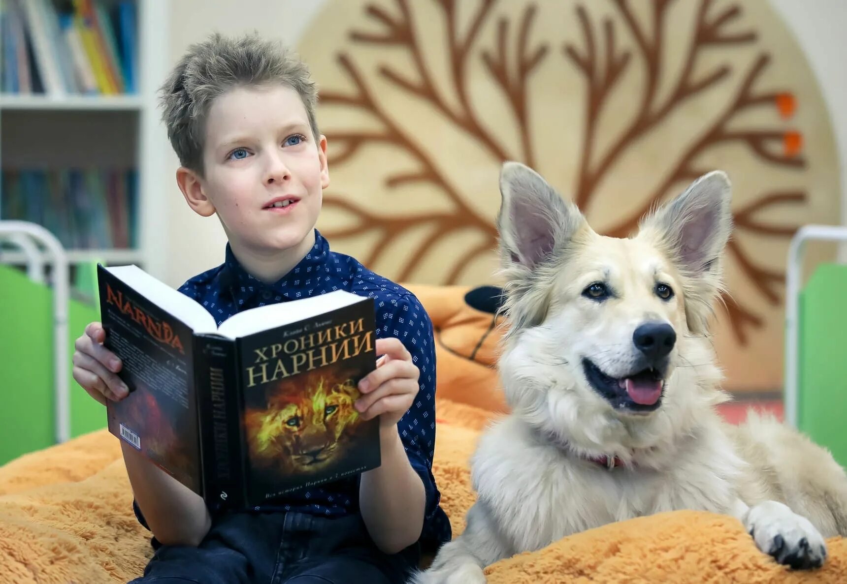 Собака в библиотеке. Чтение книги с собакой. Щенята в библиотеке. Ребенок читает книгу.