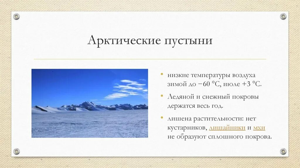 Температура в арктических пустынях. Арктическая пустыня средние температуры. Арктическая пустыня климат. Климат в арктических пустынях.