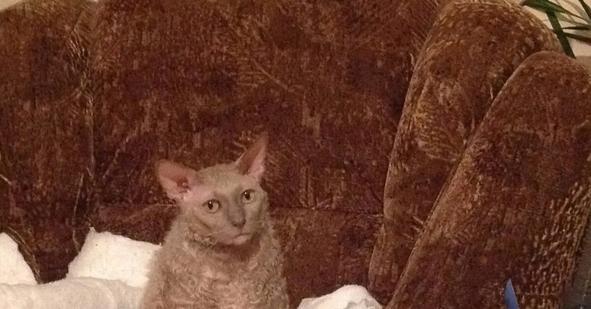 Надо меньше пить картинки. Больше не пью. Пить надо меньше и пить надо больше. Надо меньше пить и пить надо сходятся. Открытки давай выпьем.
