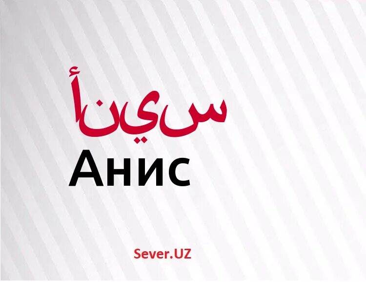 аниса имя мусульманское. логотип яхья. имя яхья. яхия. пророк яхья.