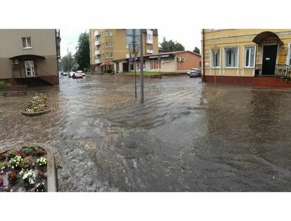 Погода в гвардейске на дней