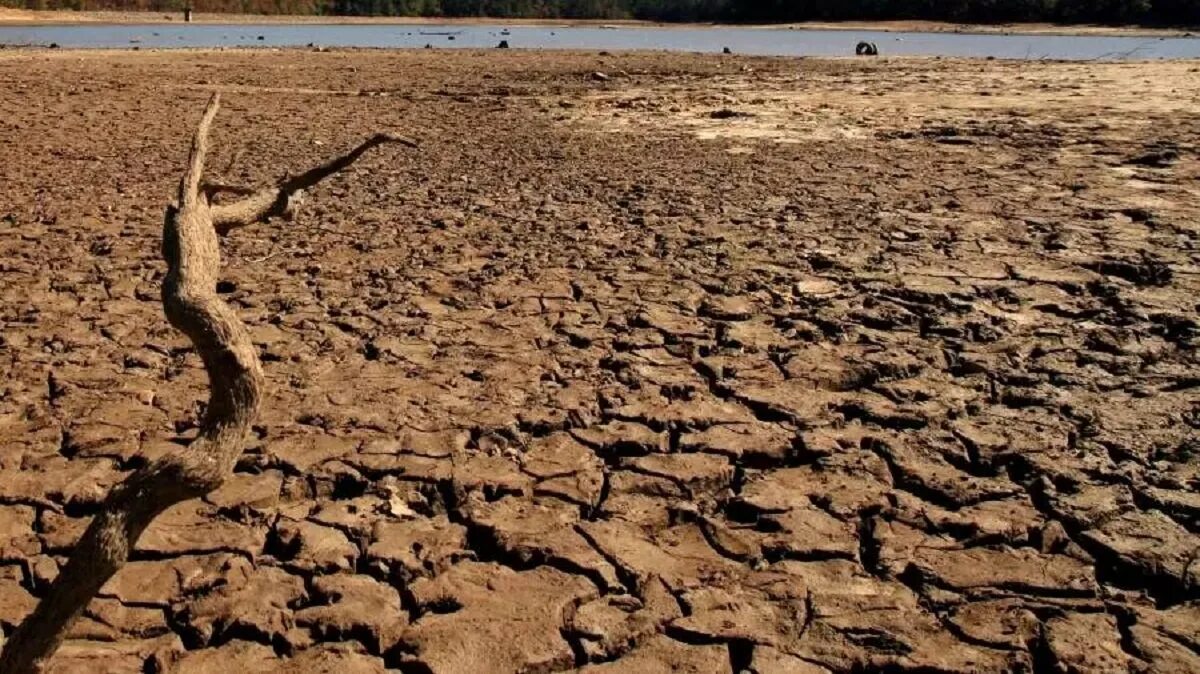 Засуха иллюстрация. Засуха узбекистан. Стояла засуха недели. Стояла засуха недели. Засуха саладо аргентина.