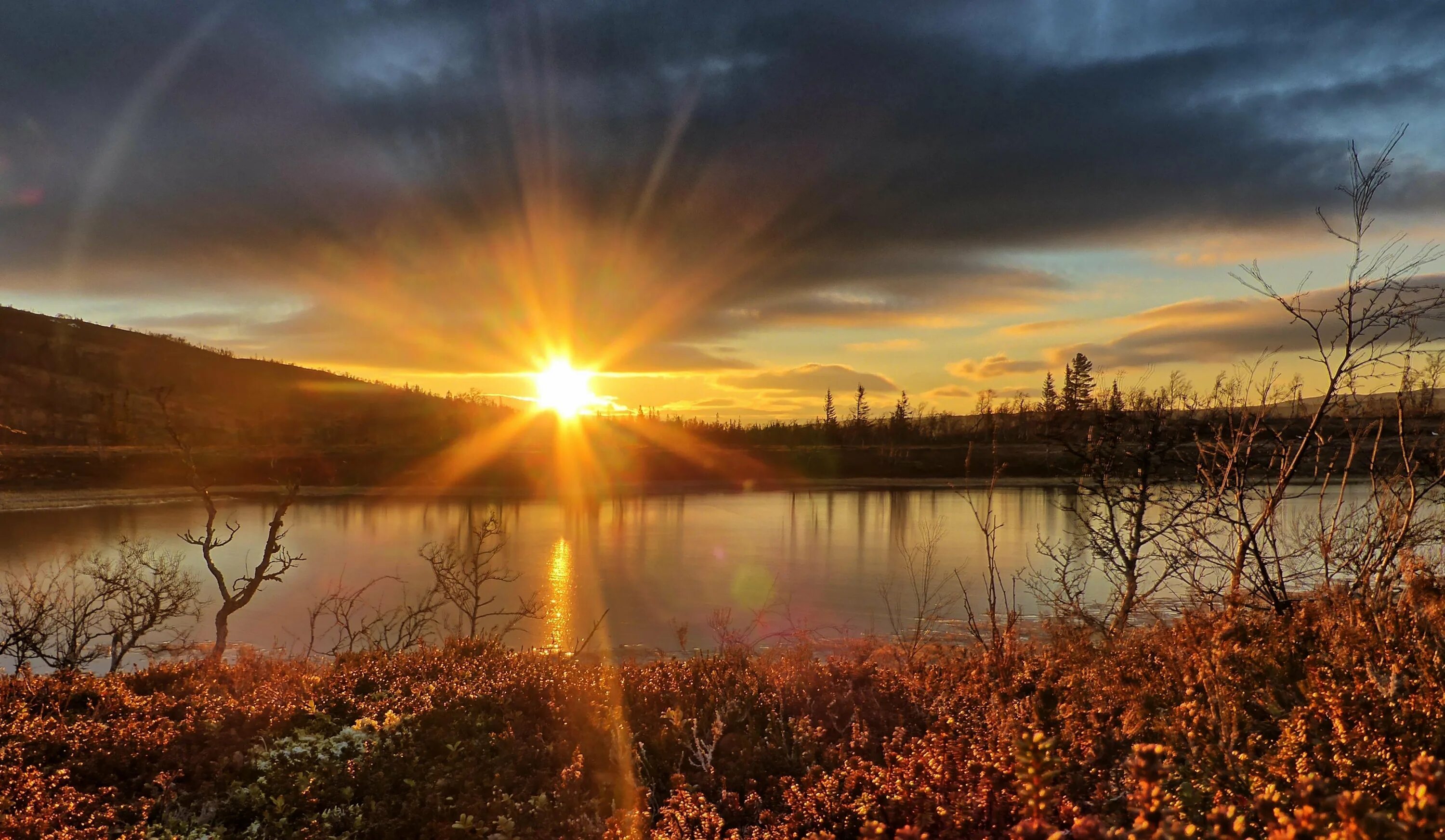Зимний рассвет в степи. Восход и закат солнца в ноябре. Закат в лесу. Восход и закат солнца в ноябре. Закат солнца.