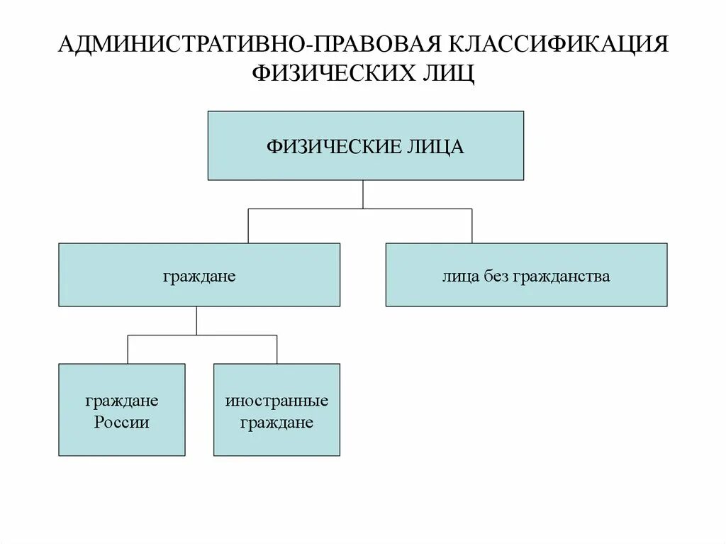 Классификация физических лиц. Классификация физ лиц. Виды административно правового статуса физ лица.