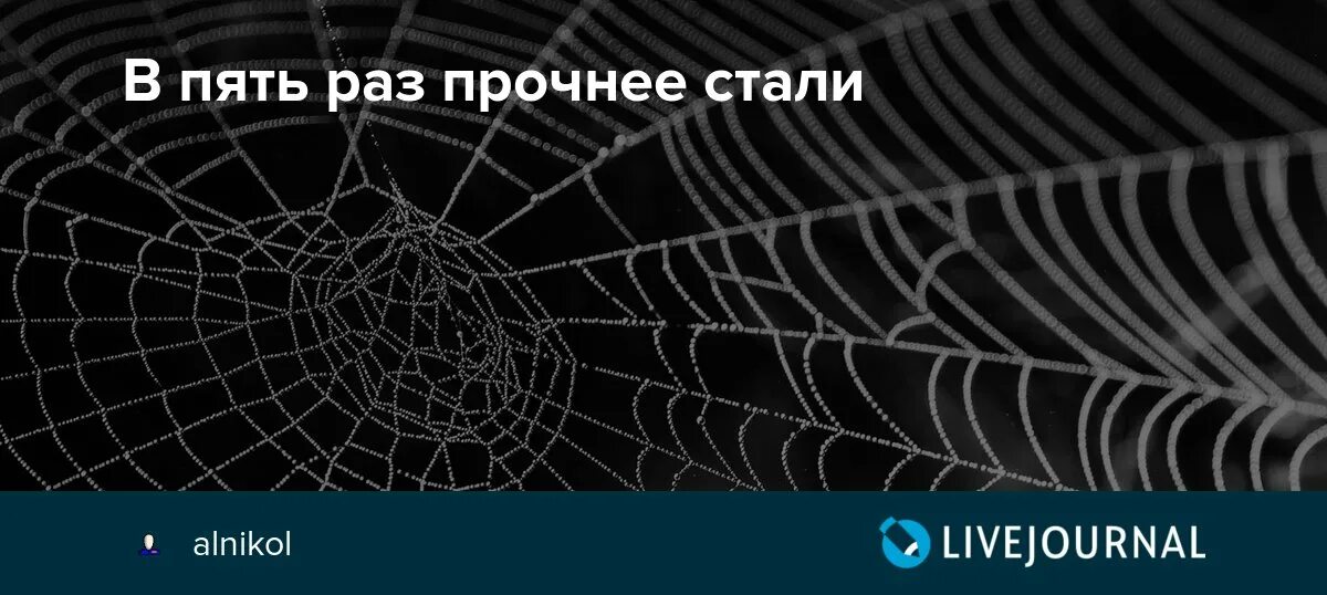 В пять раз прочнее стали