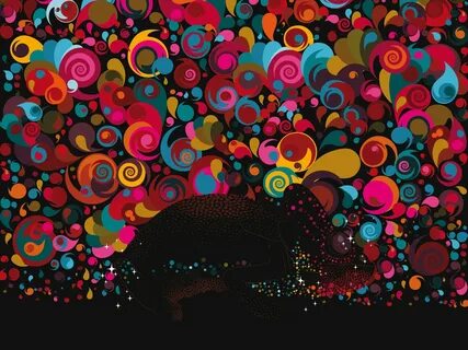 Colorful 17.3