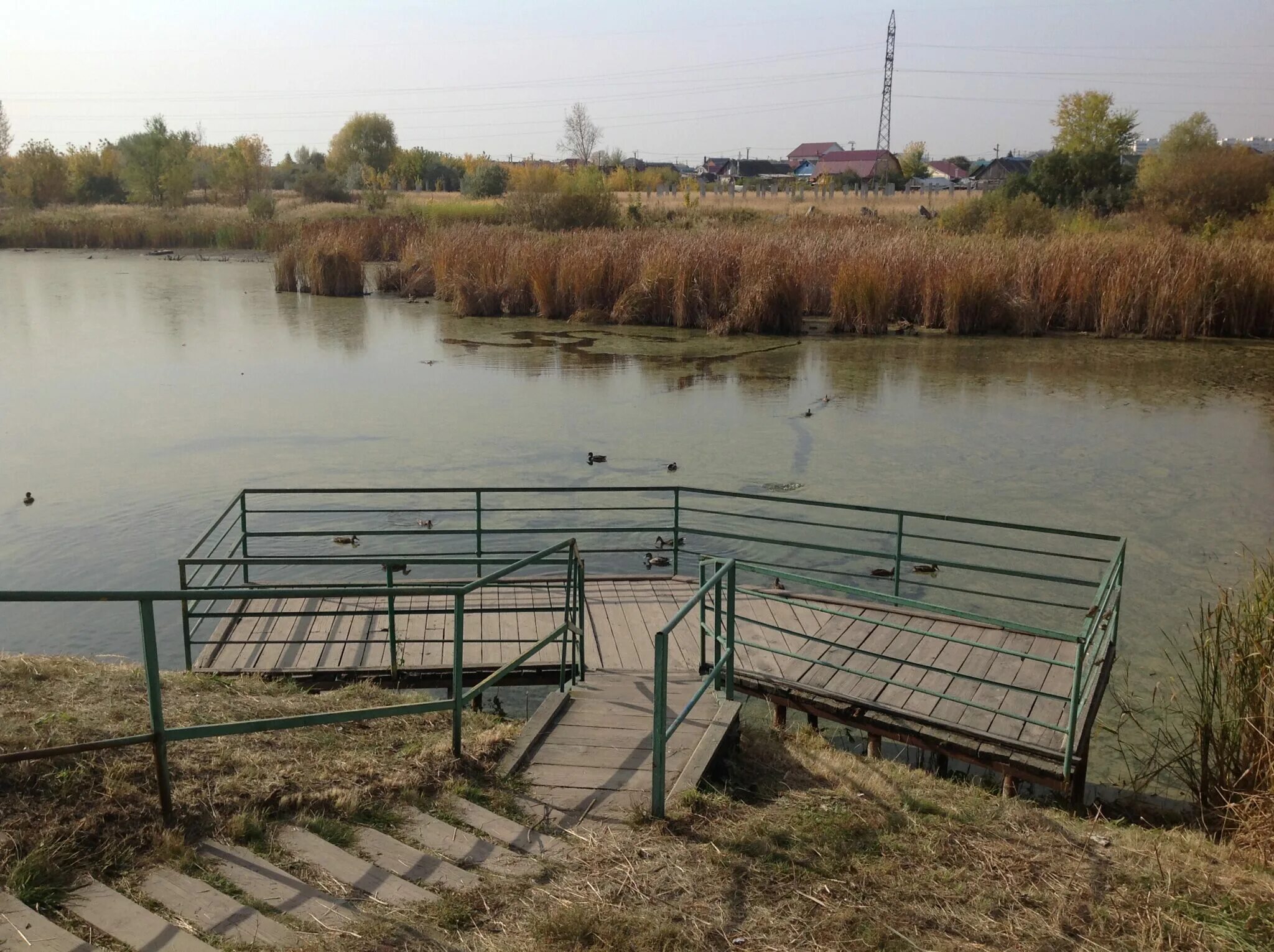 Пруд ульяновск. Ивановский пруд. Пруды ульяновской области. Ивановка пруд ульяновская обл. Пруд ульяновск.
