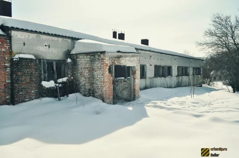 Мороз совхоз. Совхоз «красный кооператор» в посёлке мичуринский. военсовхоз. совхозе «красный плодовод». совхоз красный кораблинский район проня.