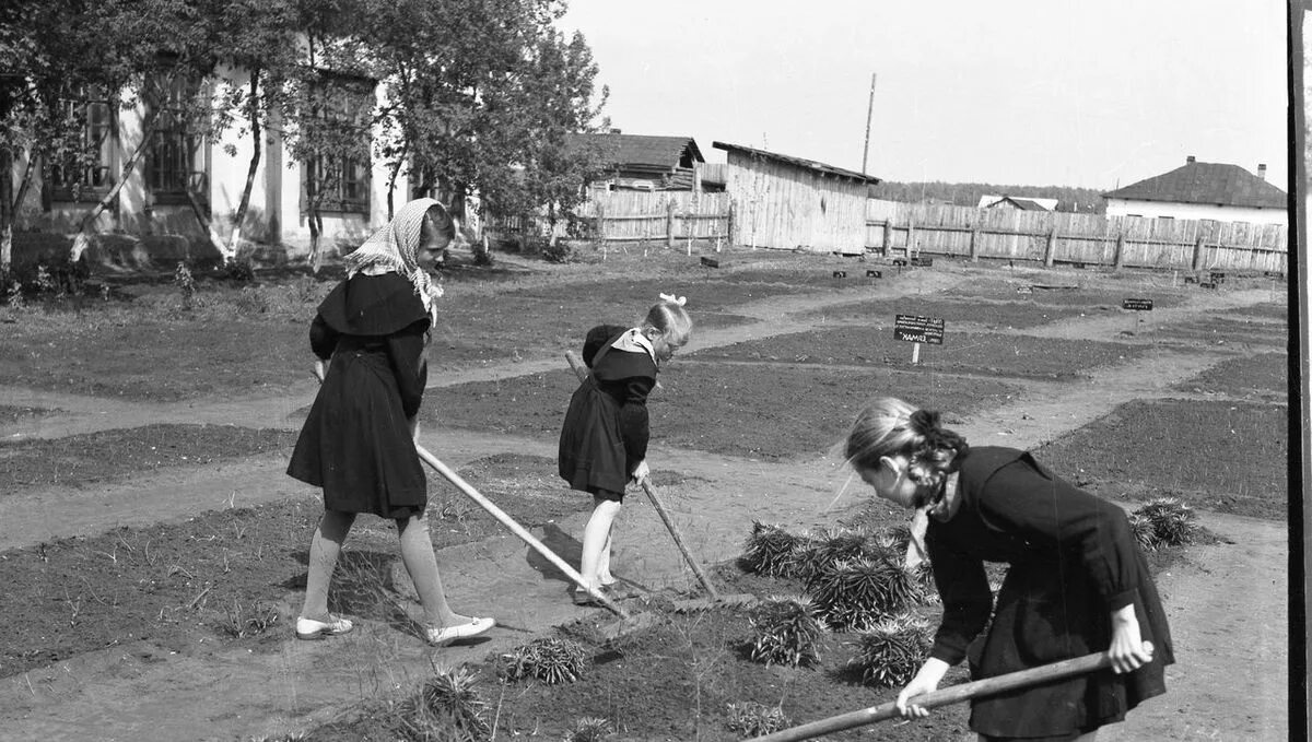 Пришкольная территория в СССР. Пришкольные истории. Девушки на участке СССР. Пришкольный участок 26 школы Пенза. Пришкольный замечена никакой ешьте