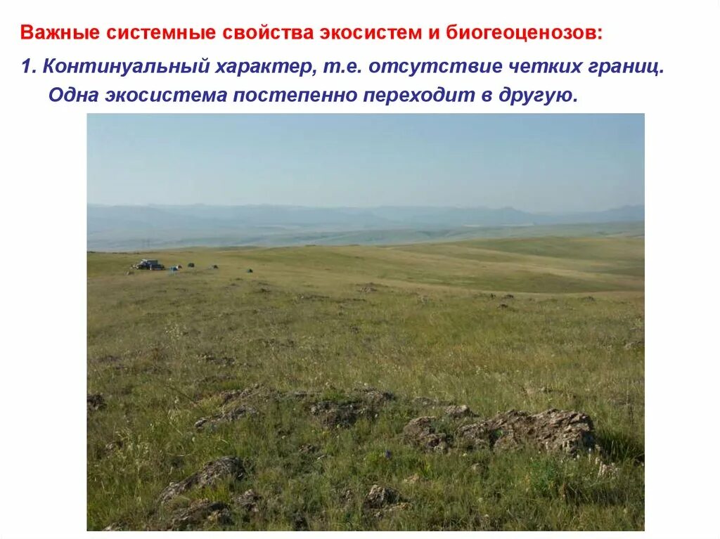 Экосистемы одной зоны 4 буквы. Особенности экосистемы забайкальского края фото.