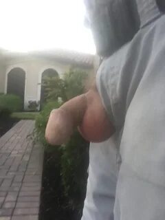 Penis flash for the neighbors 