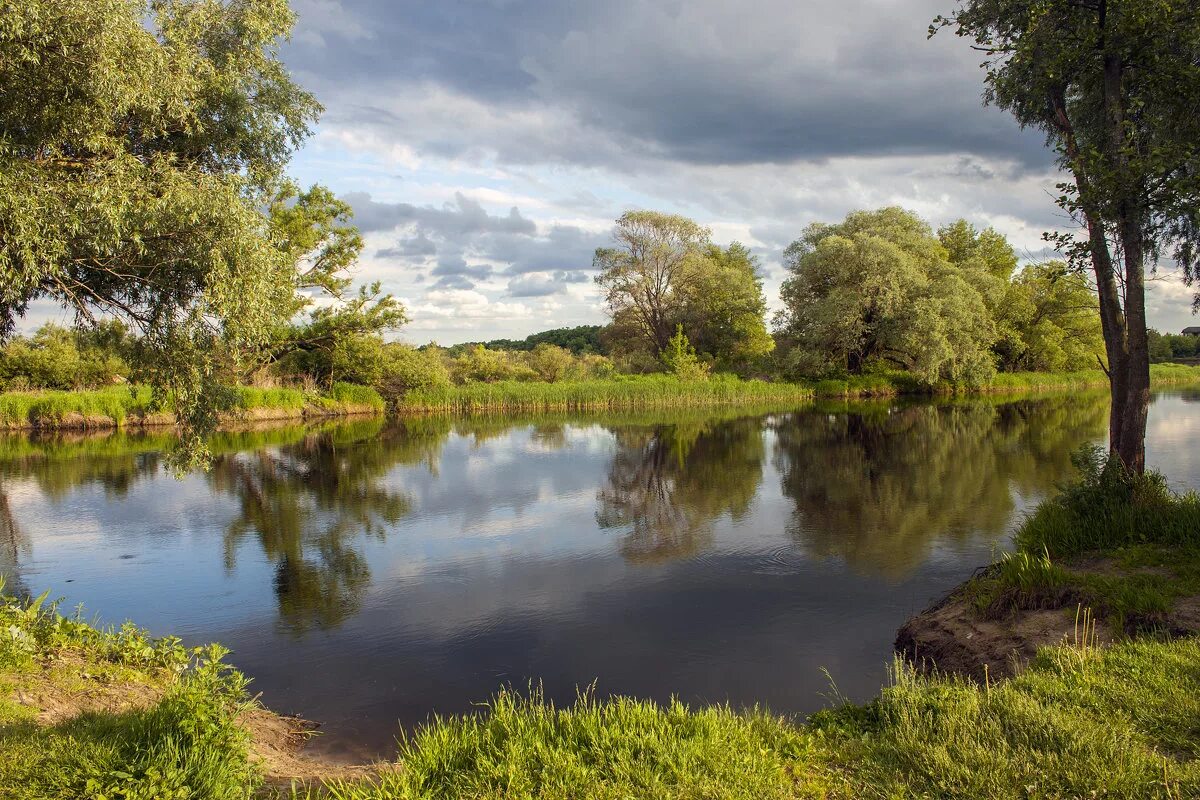 Воронеж сколько рек