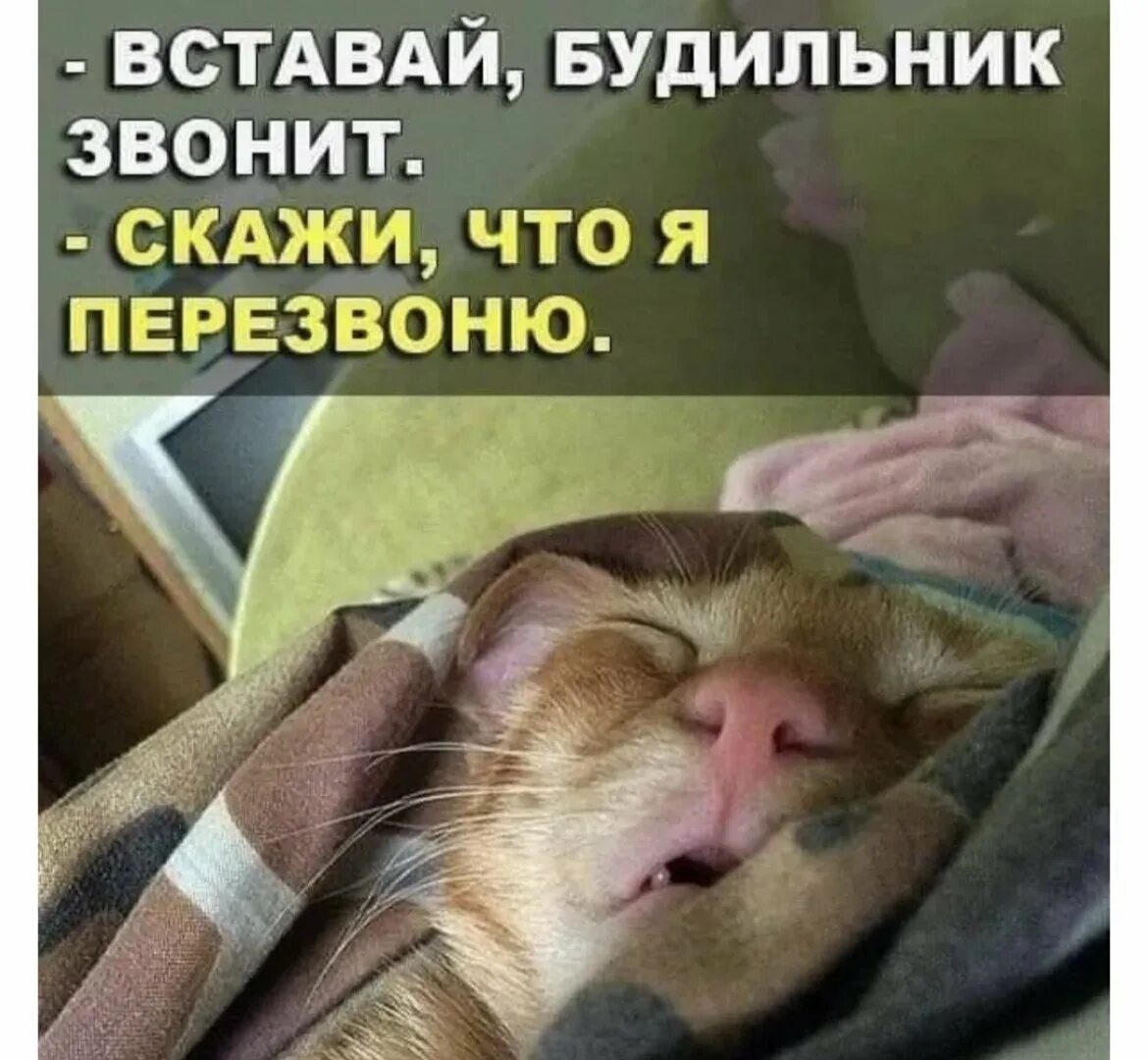 Встал не с той ноги. Встать со стула. Утром встал не с той ноги. 8 класс алгебра сложение и умножение числовых неравенств. Вспомнила что мама это я.